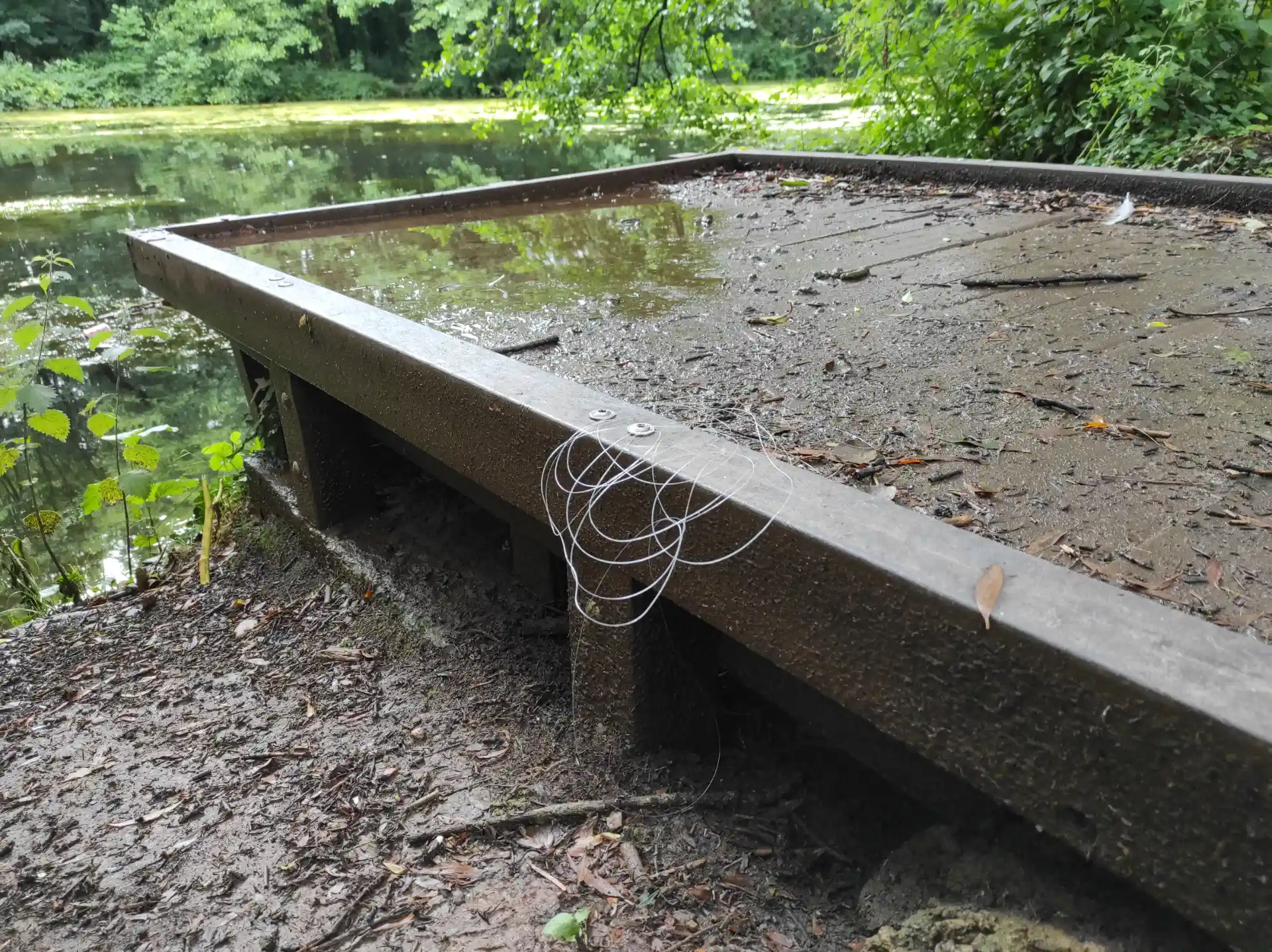 Llantarnam ponds