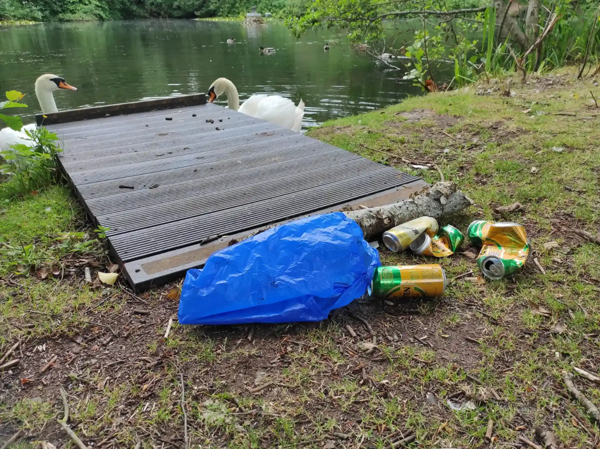 Llantarnam ponds